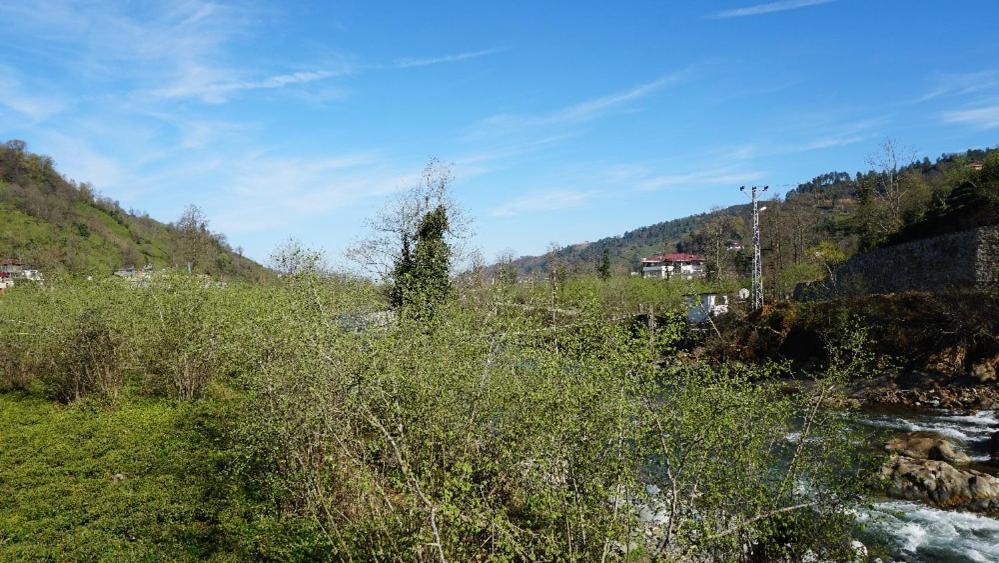 Yesil Dues Tatil Koeyue Findikli (Black Sea) Exterior foto